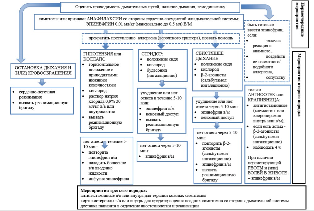 Анафилаксия мз рб. Анафилактический ШОК схема оказания неотложной. Алгоритм при анафилактическом шоке. Алгоритм по оказанию экстренной помощи при анафилактическом шоке. Алгоритм действий при анафилаксии схема.